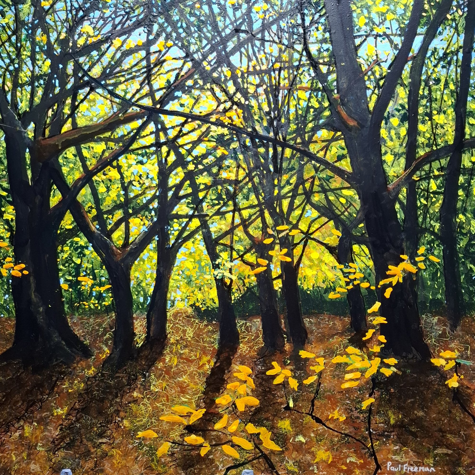 As summer ends 26 Original Landscape Art
