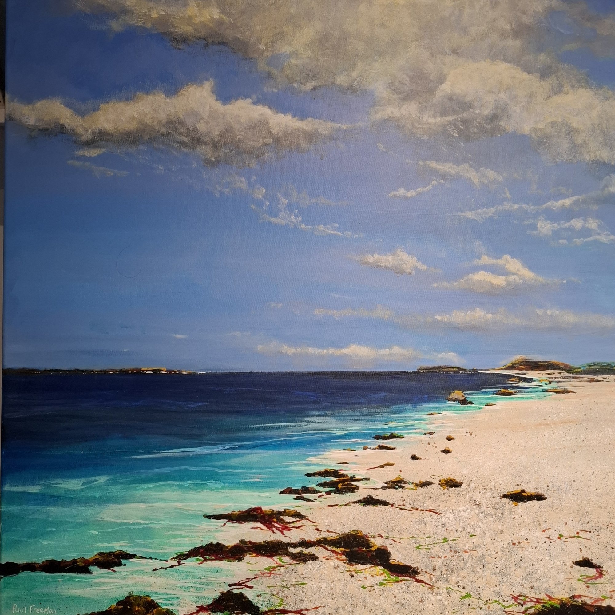 claigan coral Original Landscape Art