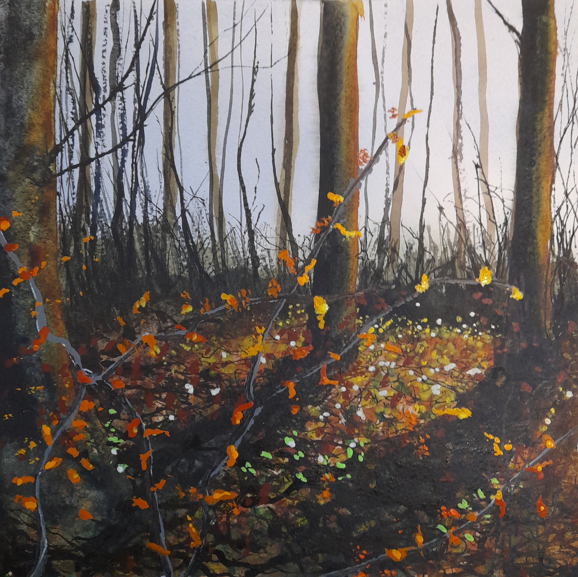 catching the light Original Landscape Art