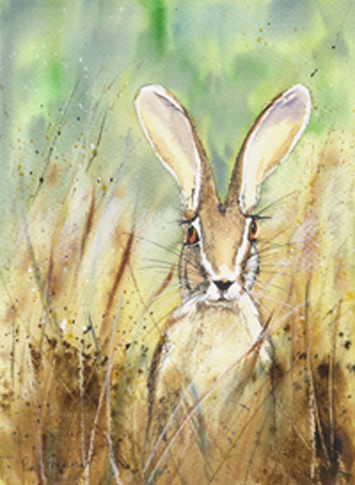 hare Original Landscape Art