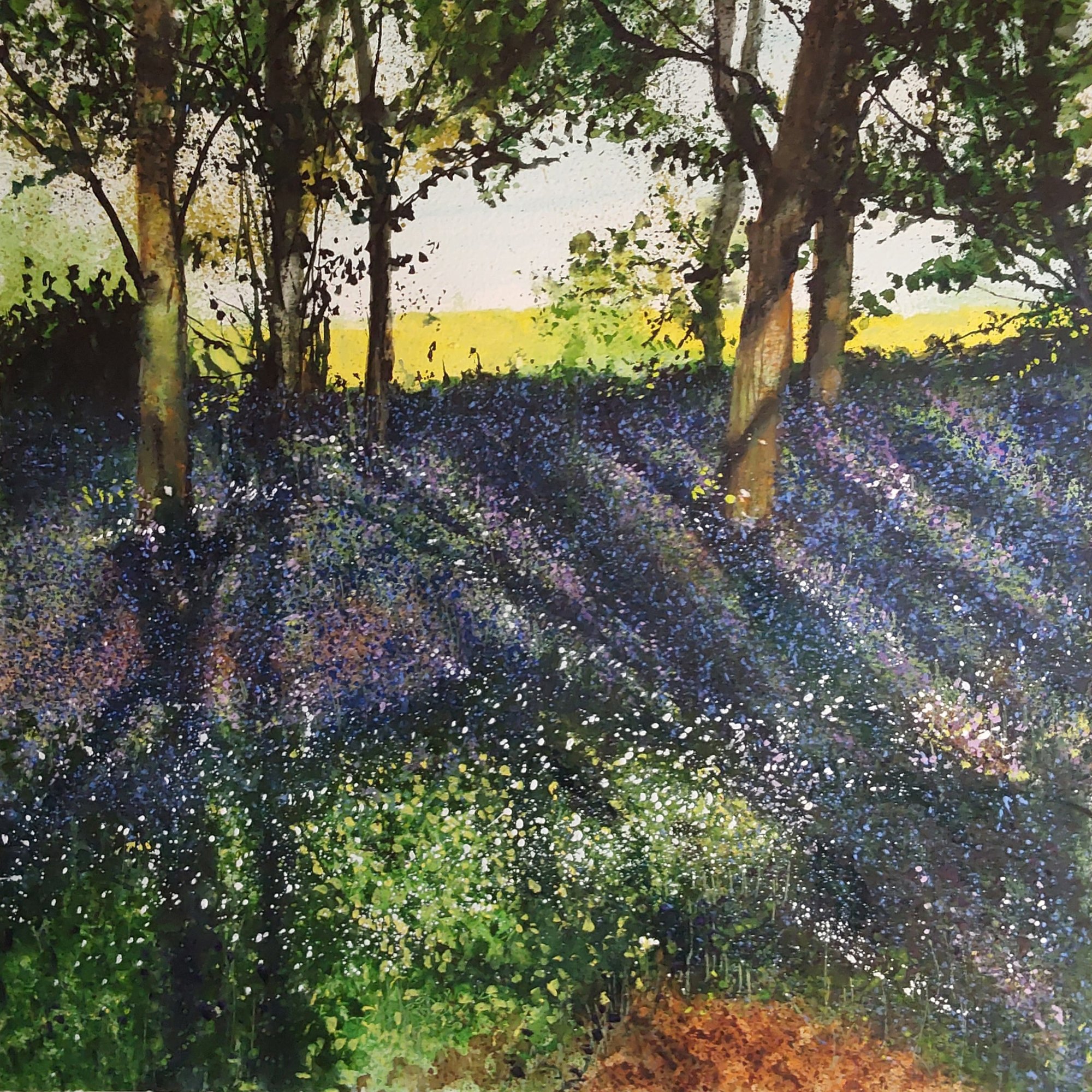 Wood anemone, bluebells and rapefield beyond Original Landscape Art