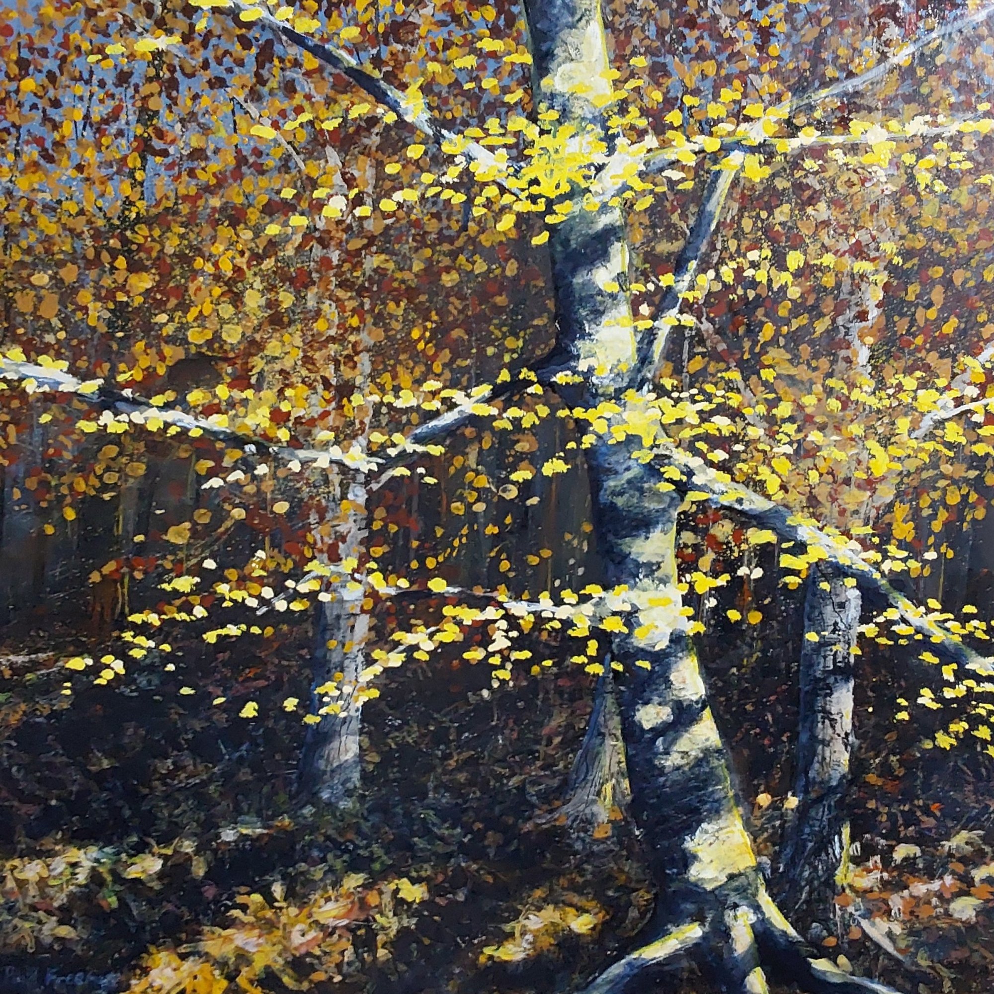 gold and silver birch Original Landscape Art
