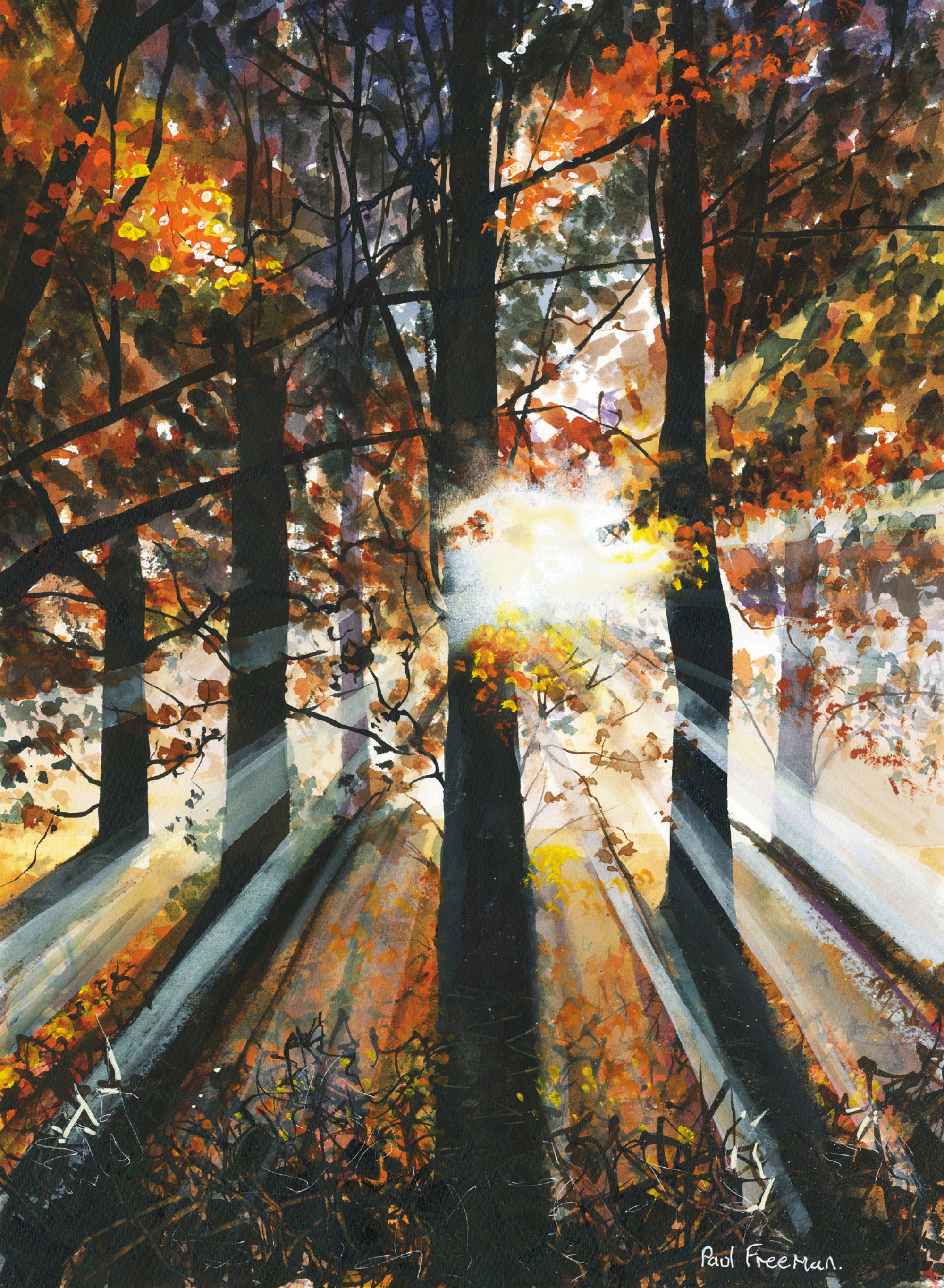 Autumn Light Original Landscape Art