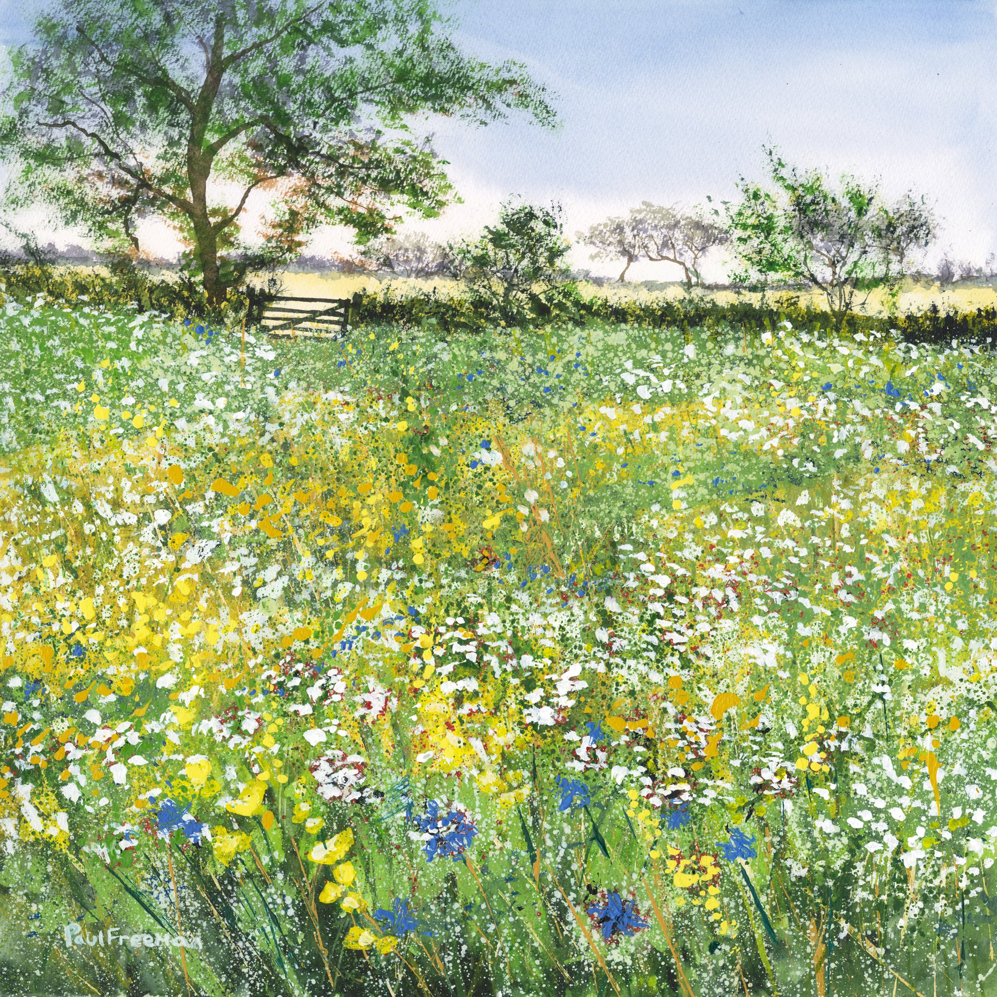 Wildflower meadow Original Landscape Art