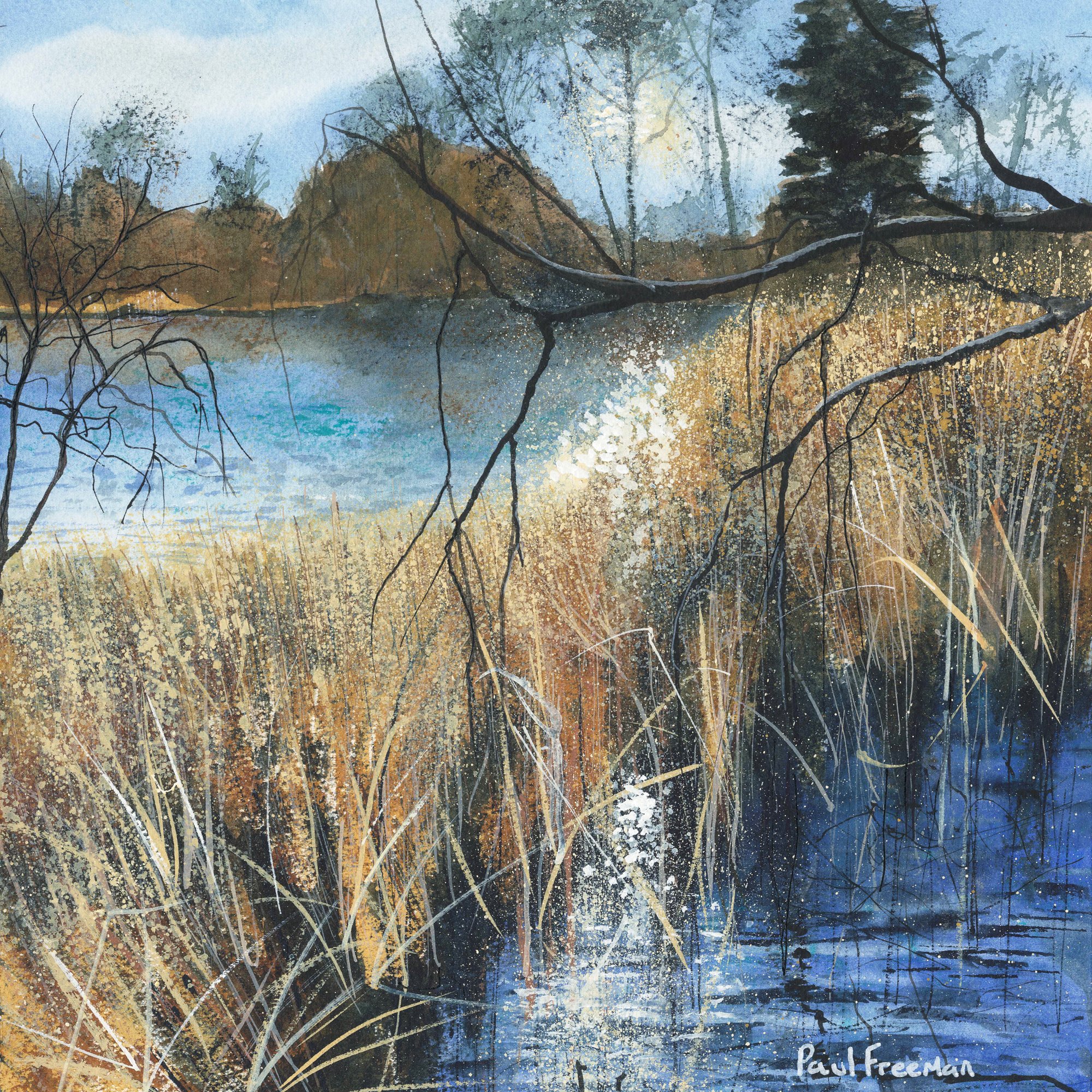 Langold lake reeds Original Landscape Art