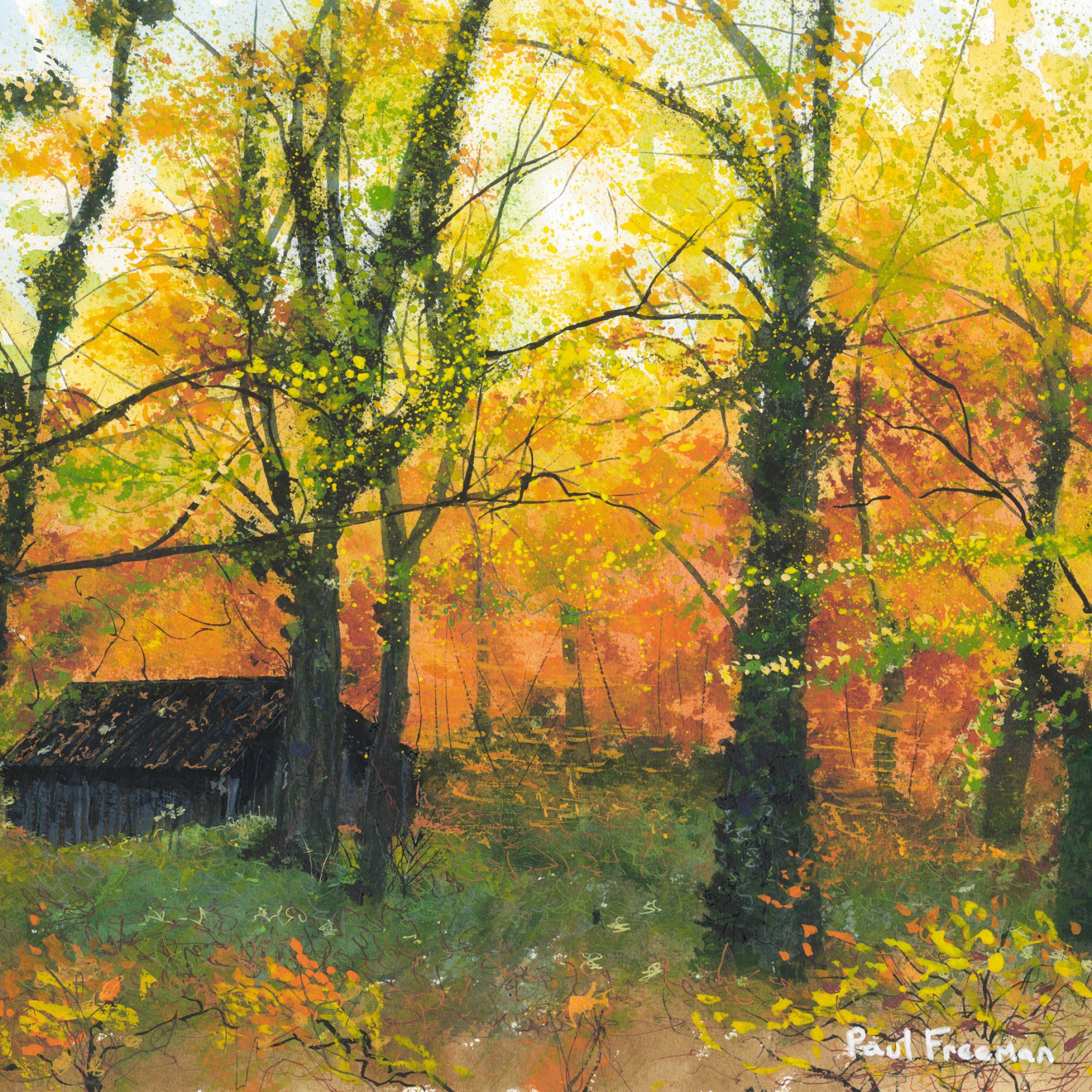 Autumn in the woods Original Landscape Art
