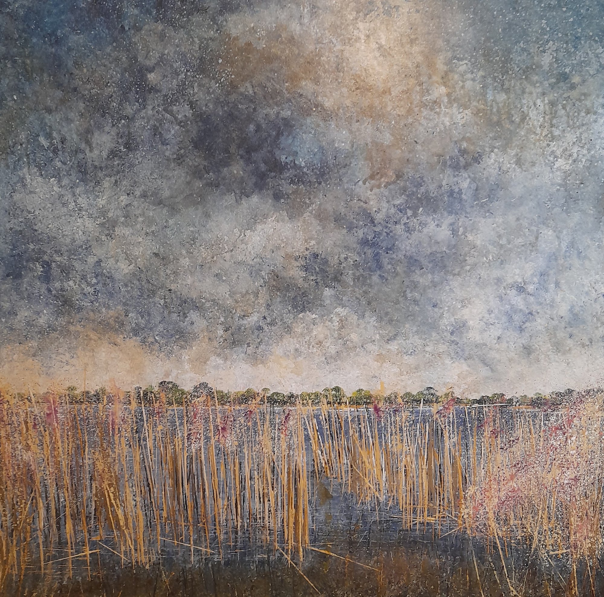 reeds seeds and the troubled sky Original Landscape Art