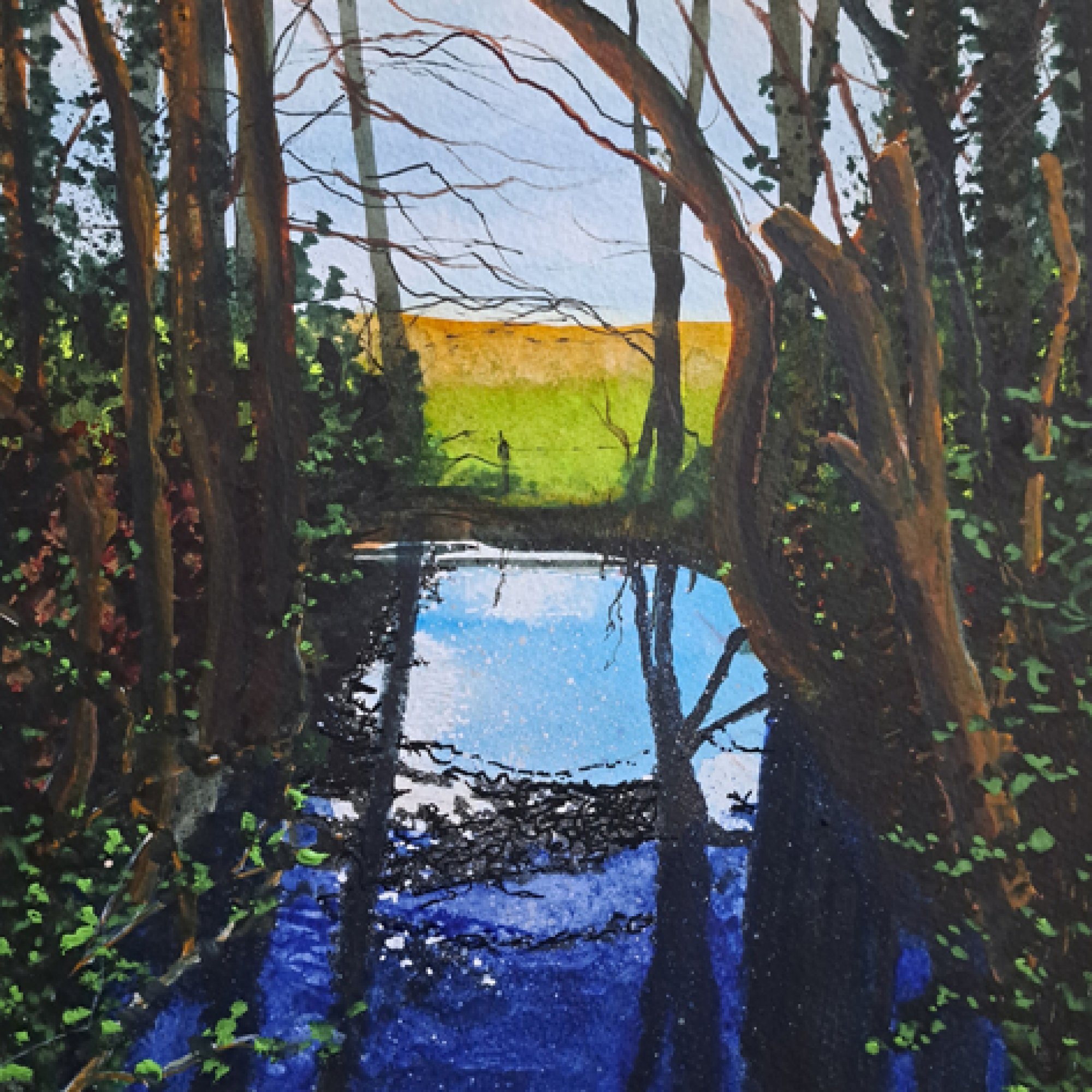Skylit Original Landscape Art
