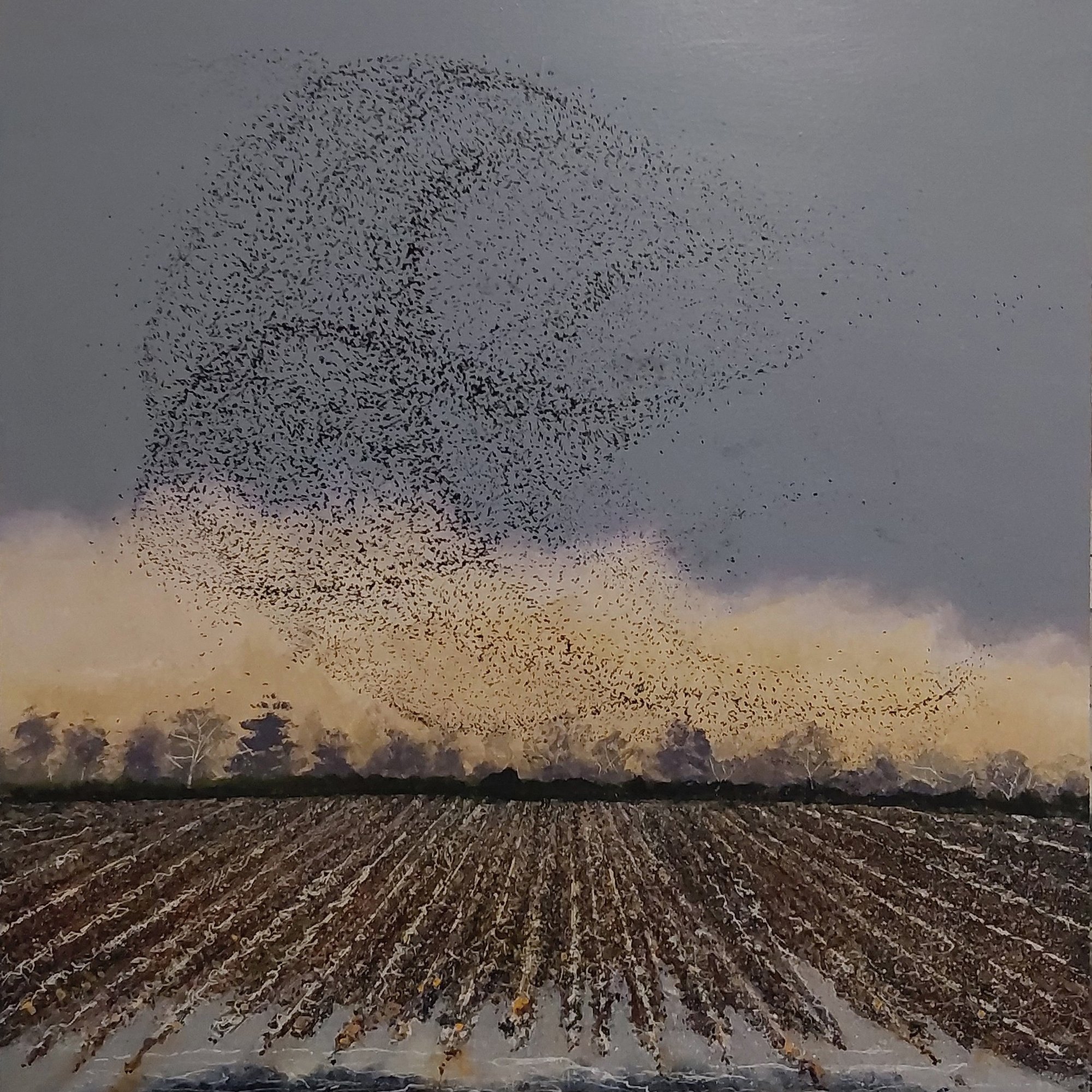 starling murmuration Original Landscape Art