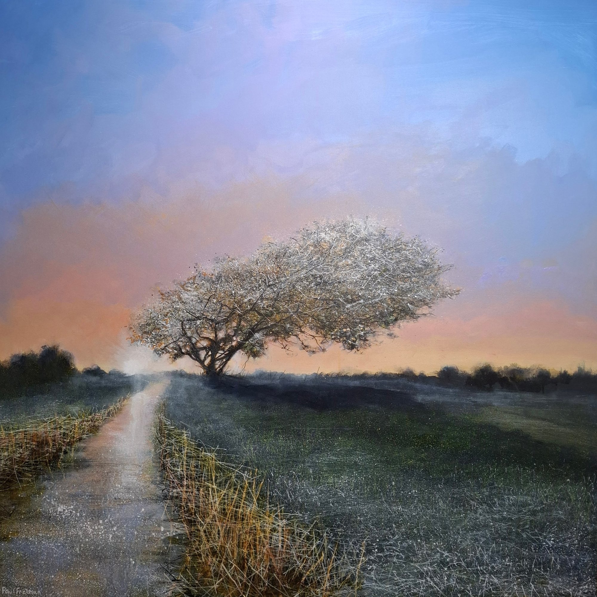 a single hawthorne Original Landscape Art