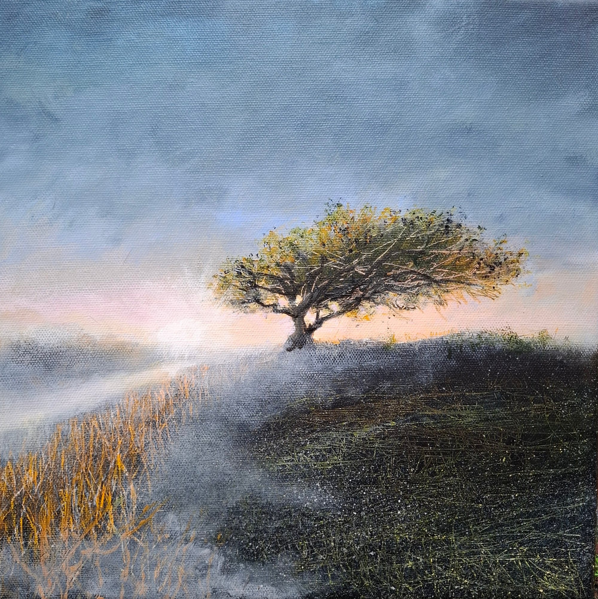 a single tree in the mist Original Landscape Art