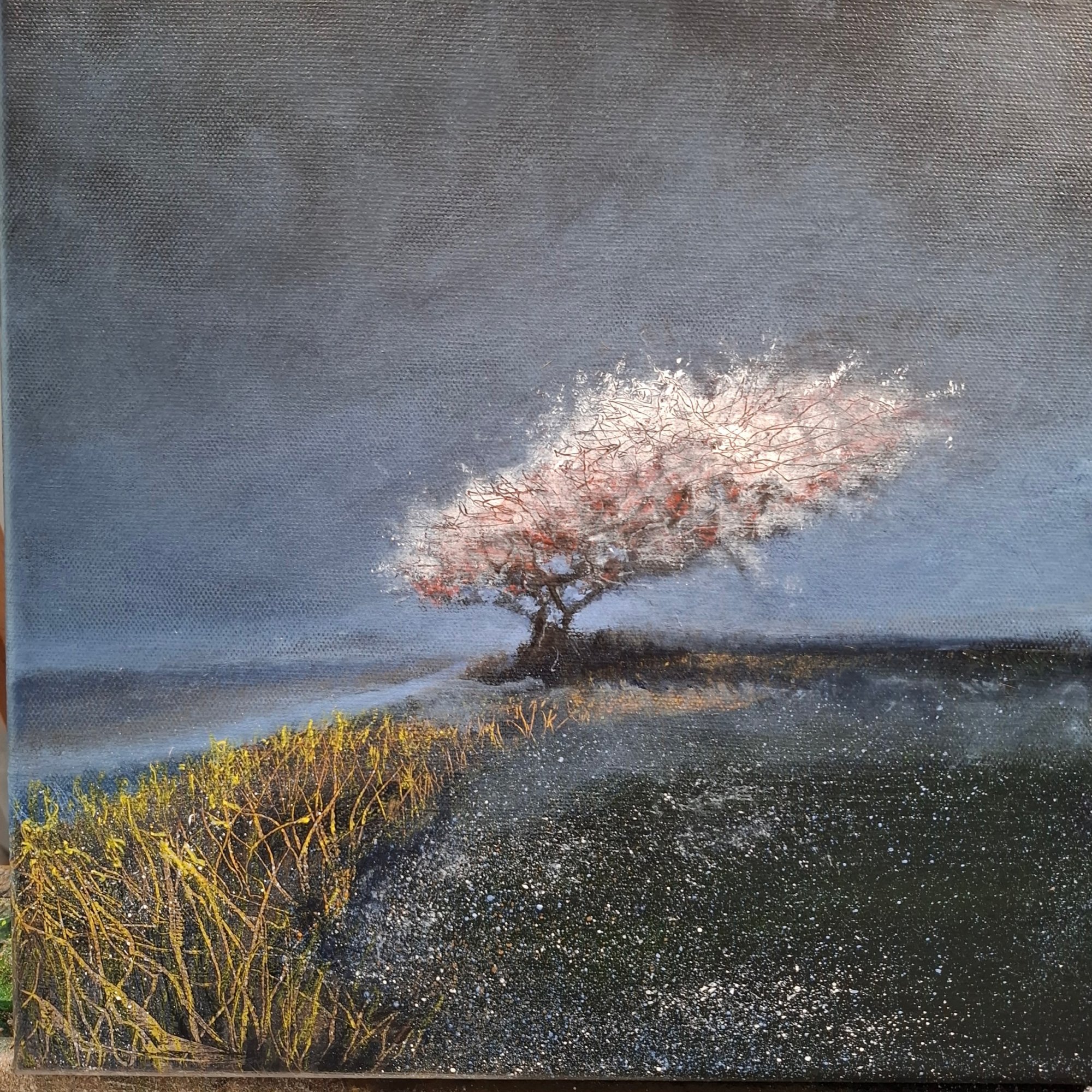 a single tree Original Landscape Art