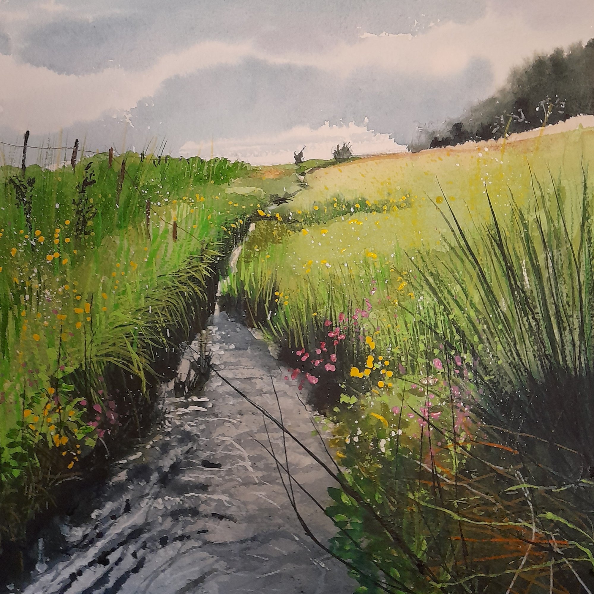 A small Nortumberland stream Original Landscape Art