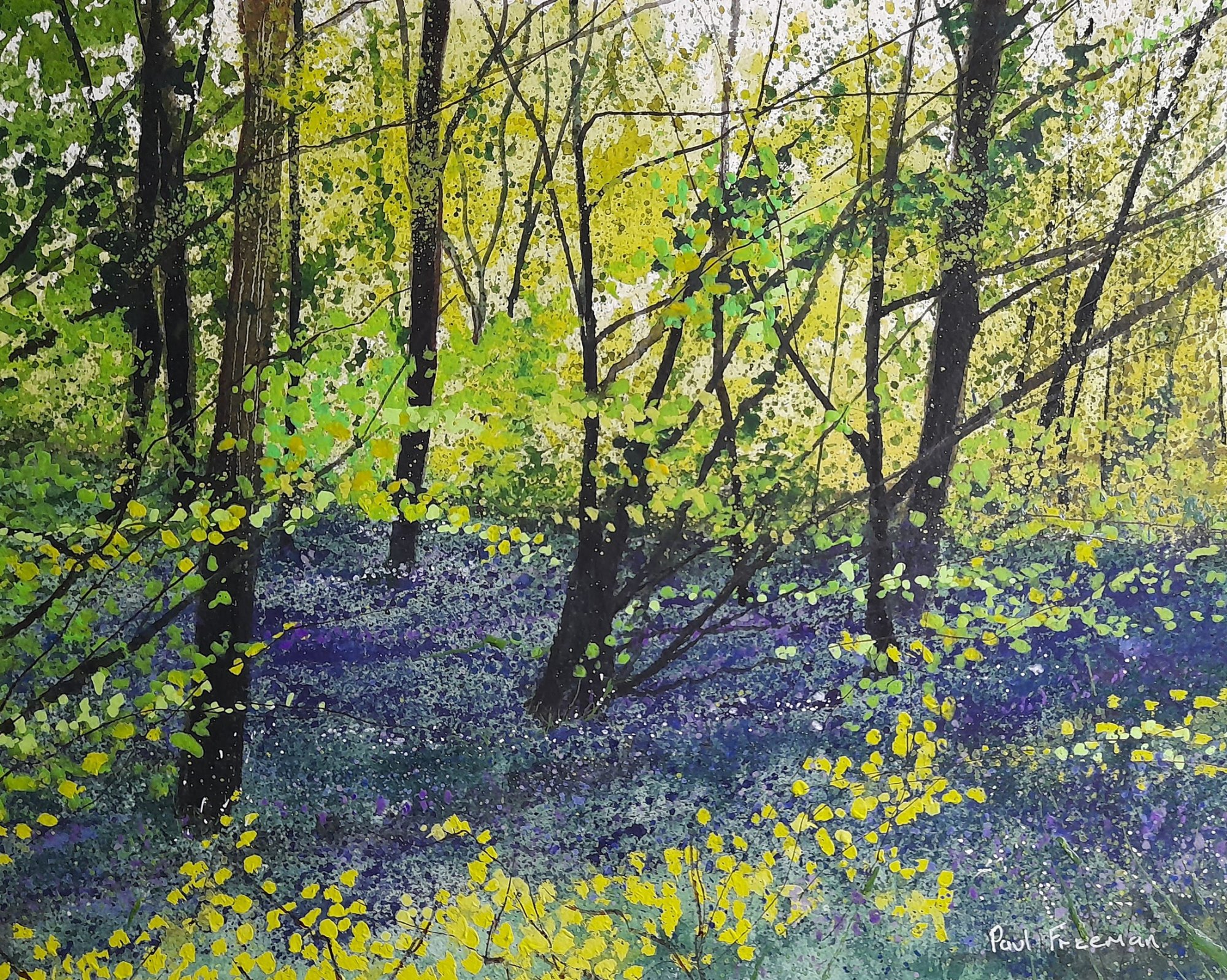 Beech saplings and bluebells Original Landscape Art