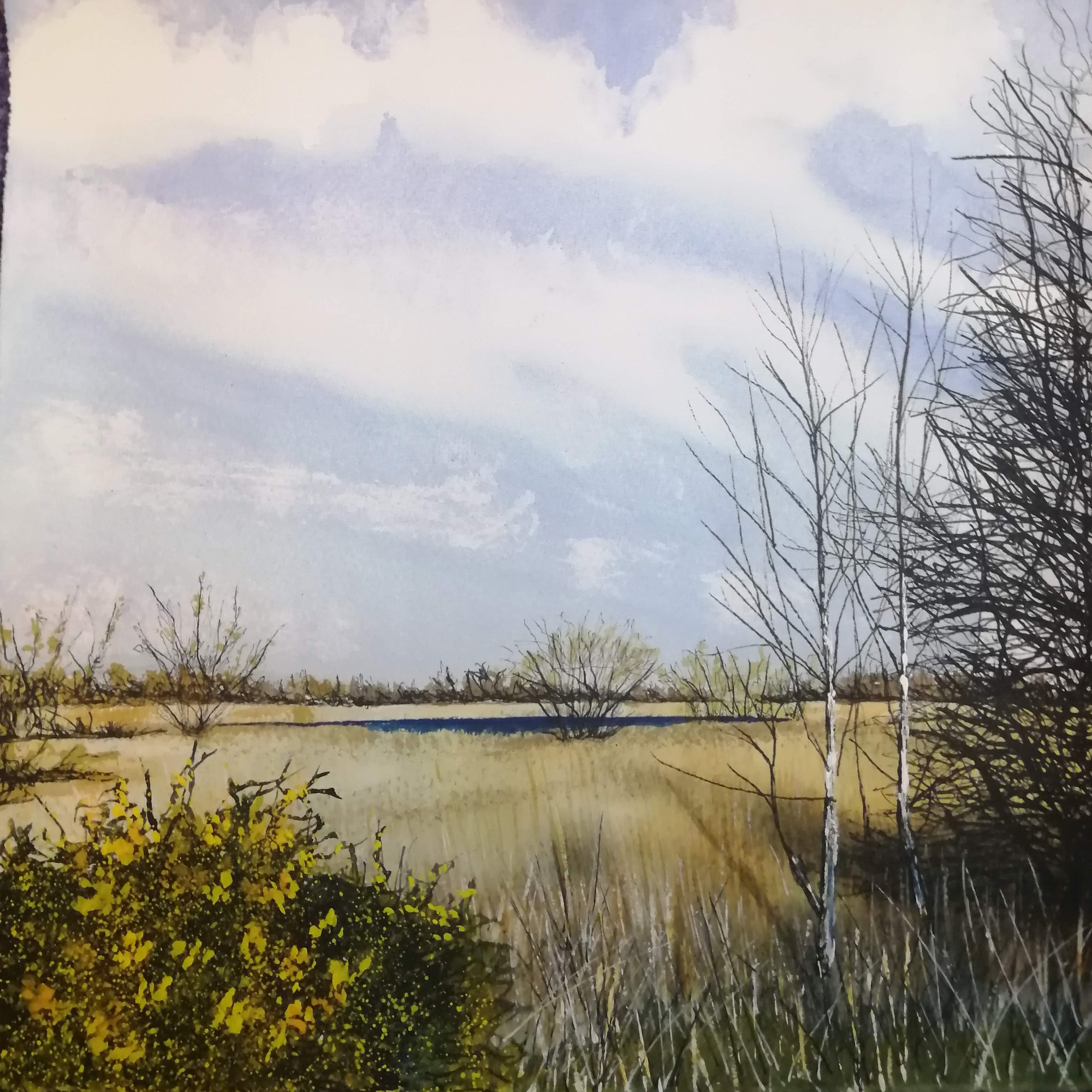 Gorse saplings and whispering reeds Original Landscape Art