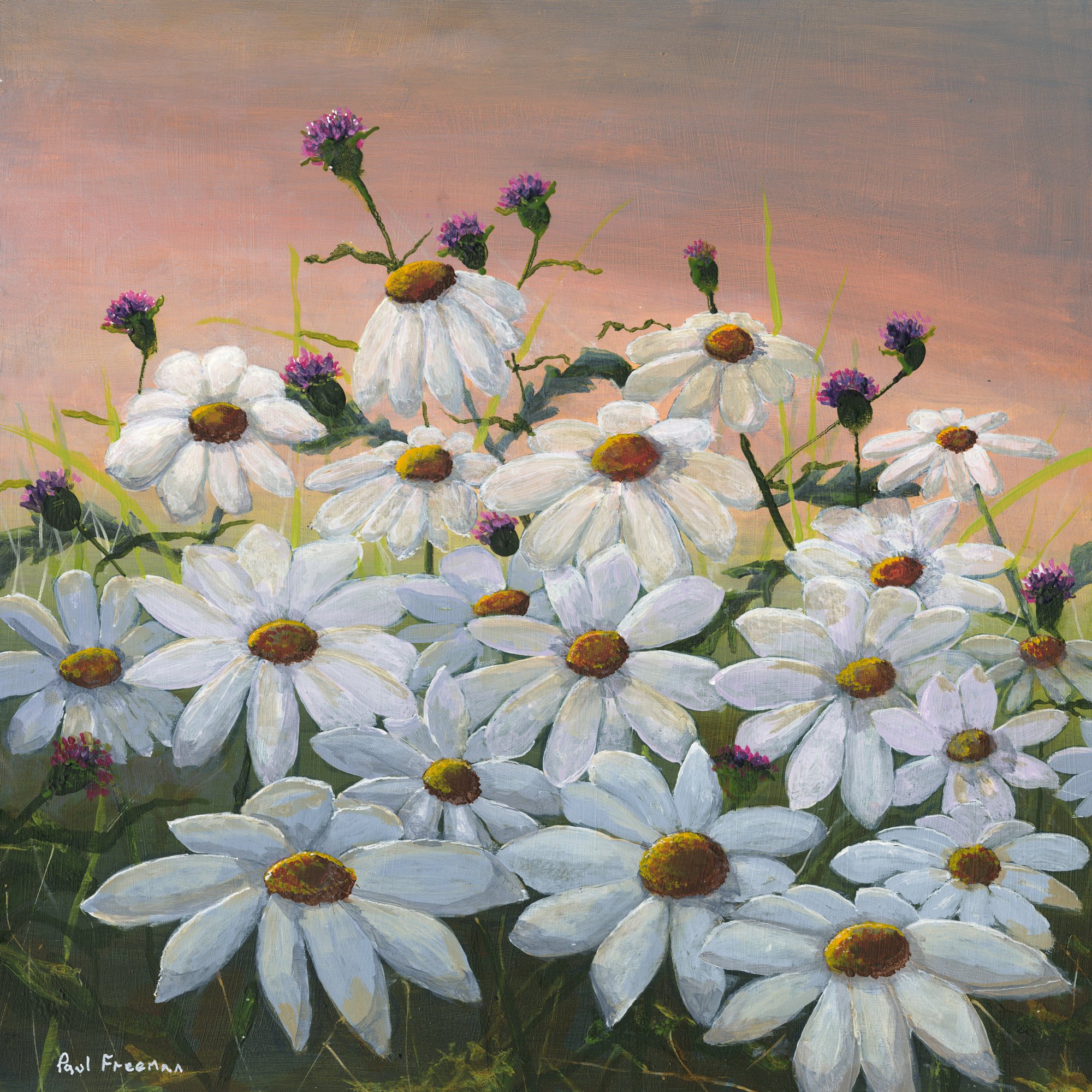 ox eye daisy and thistle Original Landscape Art