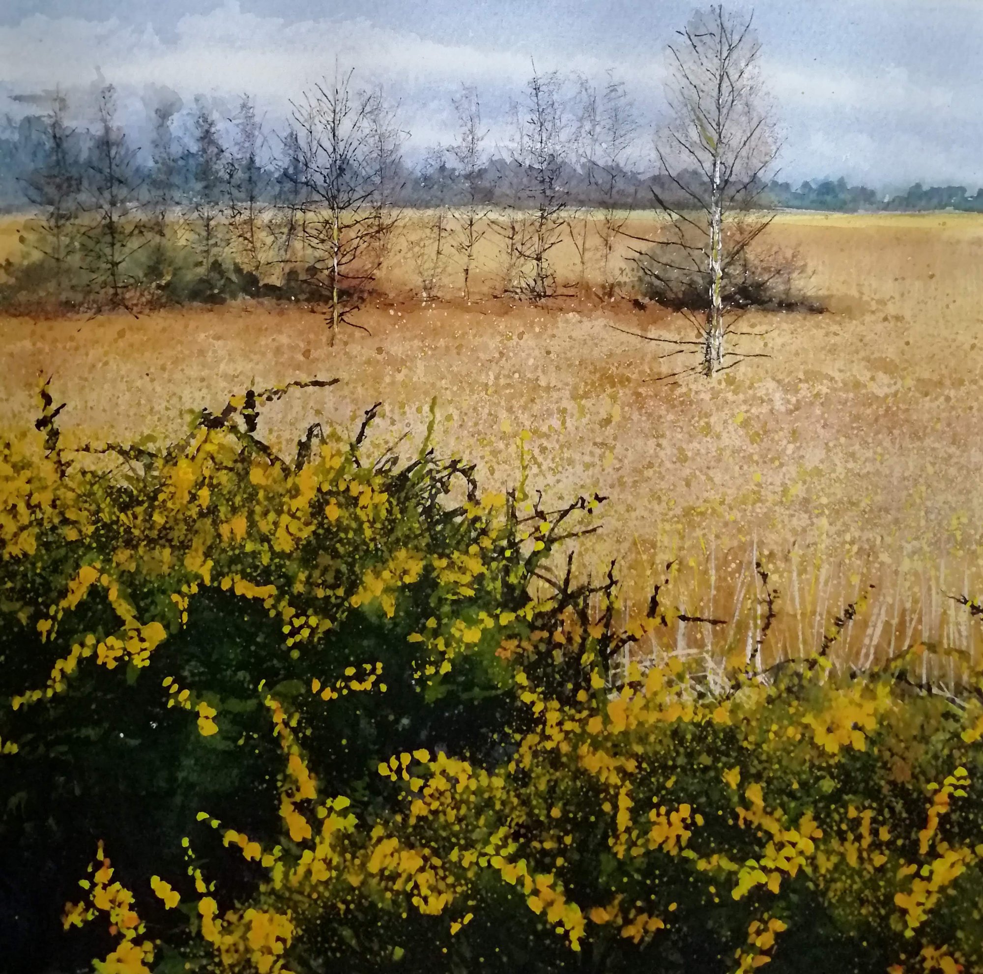 Silverwood Gorse Original Landscape Art