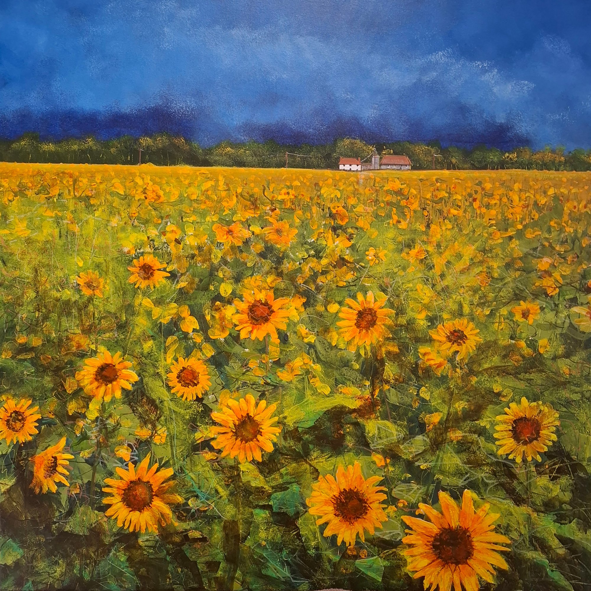 sunfowers at eastfield Original Landscape Art