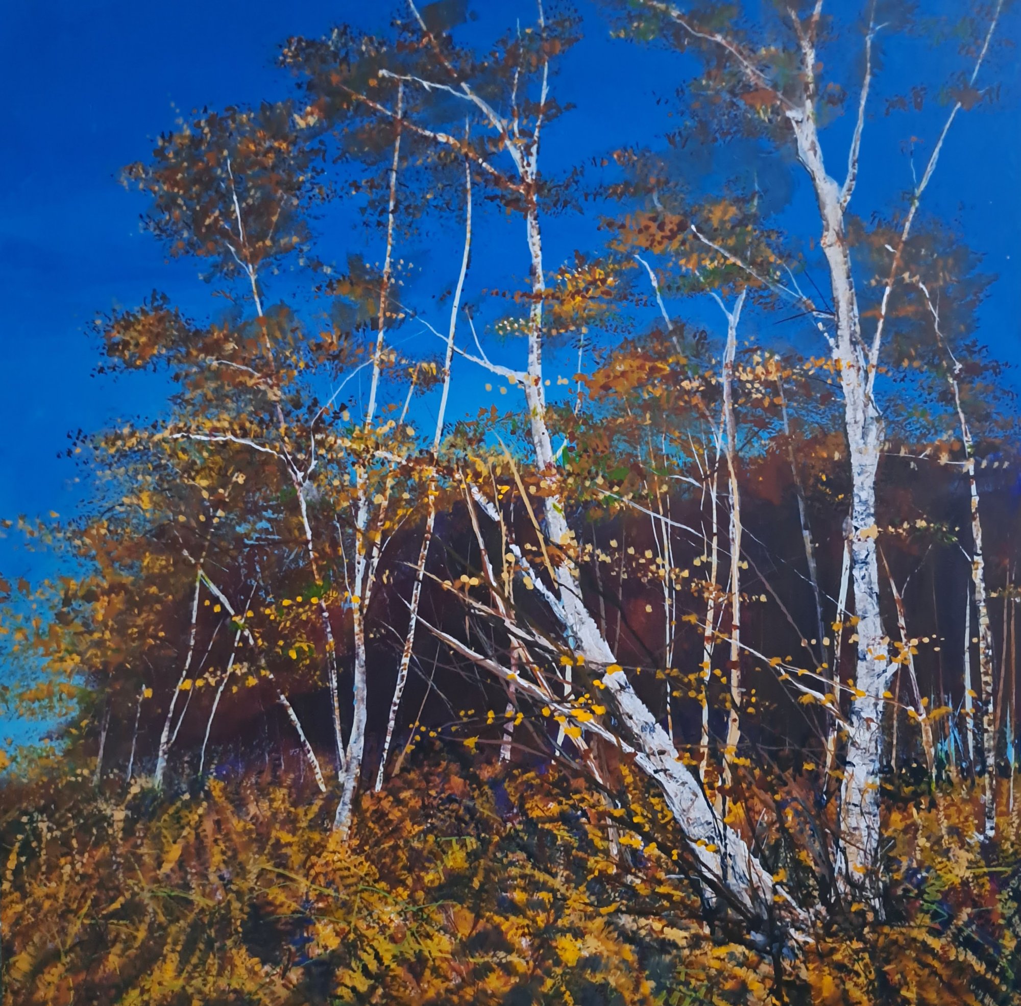 sunshine bracken and Silver birch Original Landscape Art